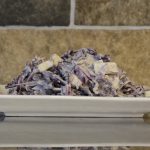 Red Cabbage